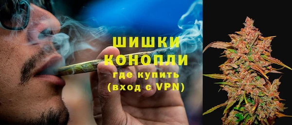 крисы Белокуриха