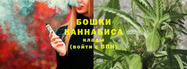 крисы Белокуриха