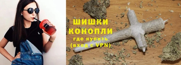 крисы Белокуриха