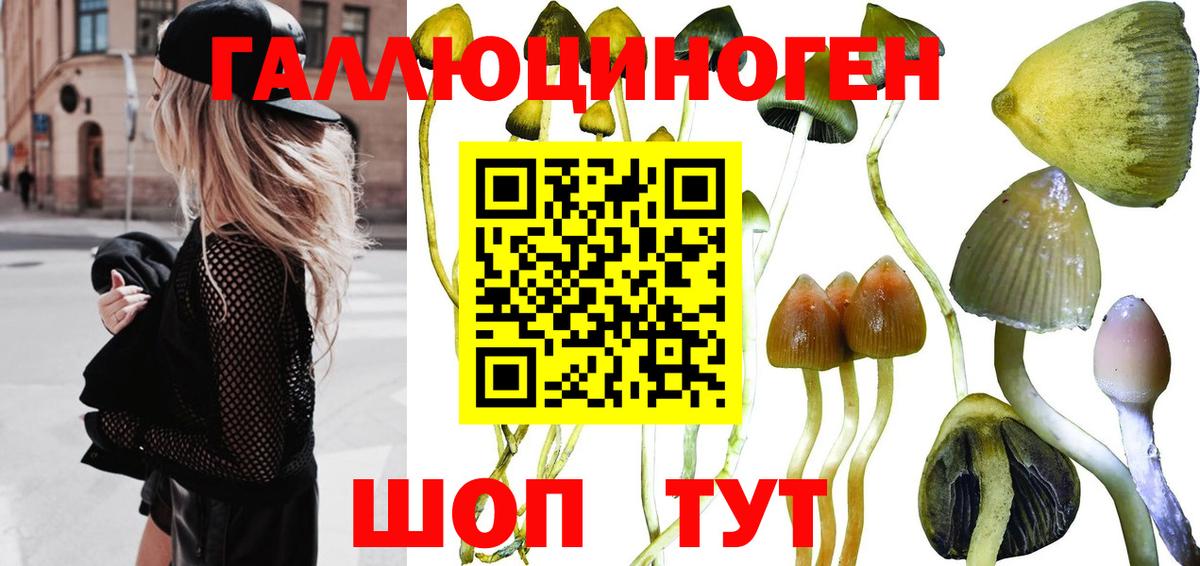 Галлюциногенные грибы ЛСД Бузулук