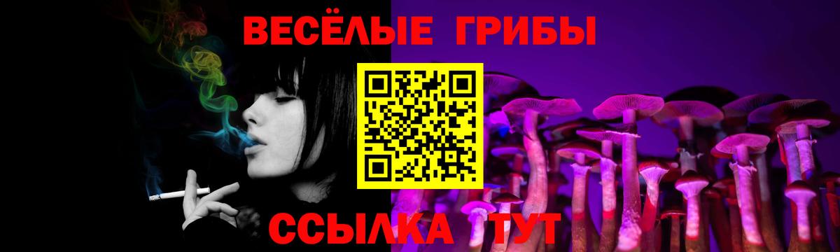 где можно купить наркотик  Псилоцибиновые грибы Psilocybine cubensis  Вход с VPN  Бузулук 